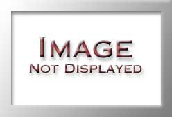 M-VF0095