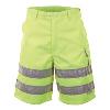Work & Business Shorts